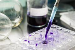 O programa Sinapse da Inovação Paraná, com apoio do Sebrae-PR, abriu edital para escolher 100 ideias inovadoras que podem ganhar até R$40 mil em subvenção econômica da Fundação Araucária, do governo do Paraná. As inscrições vão até dia 3 de maio. Na sequência, serão selecionados até 100 projetos de todo o estado. 